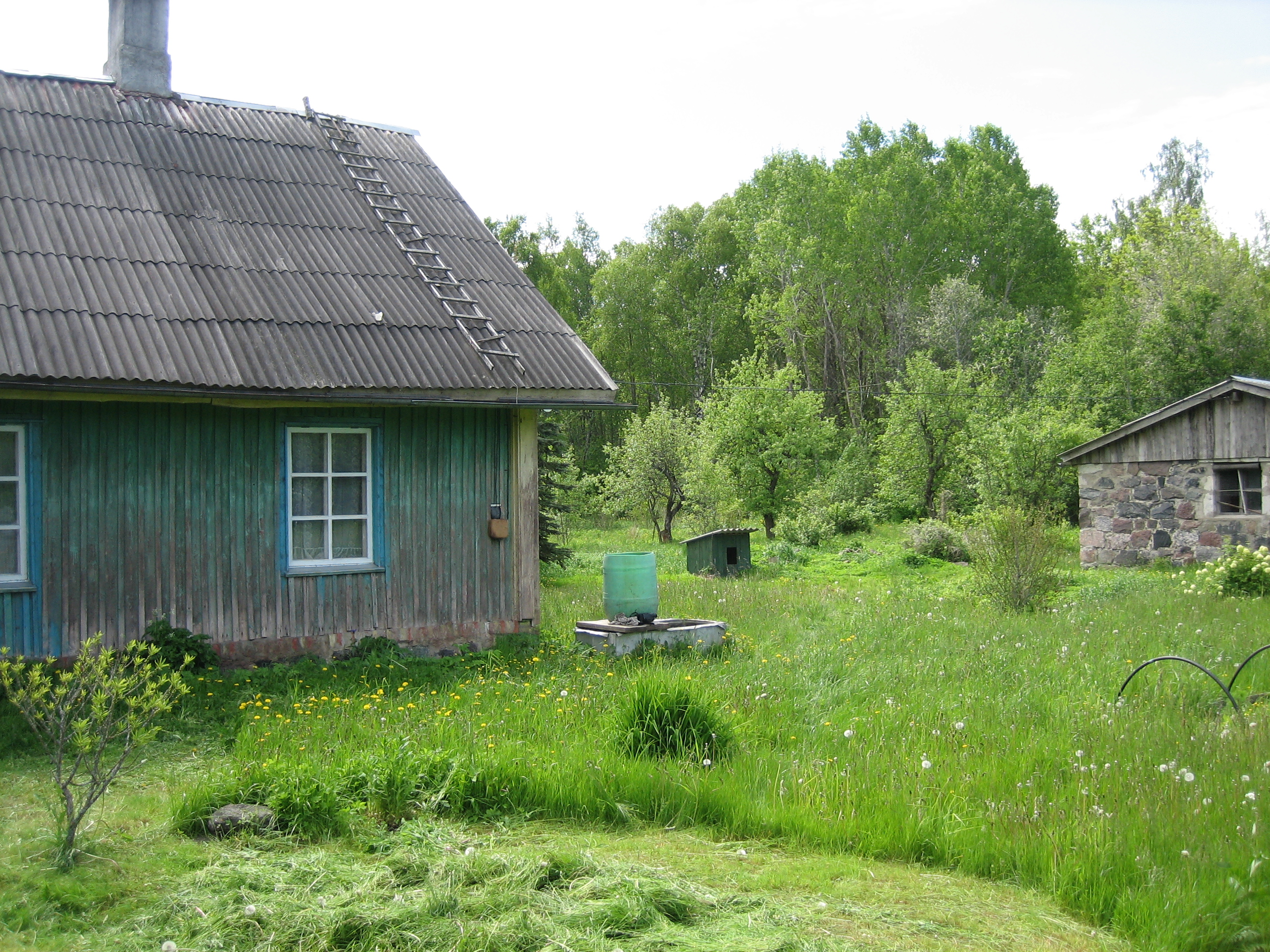 Juuni 2006
