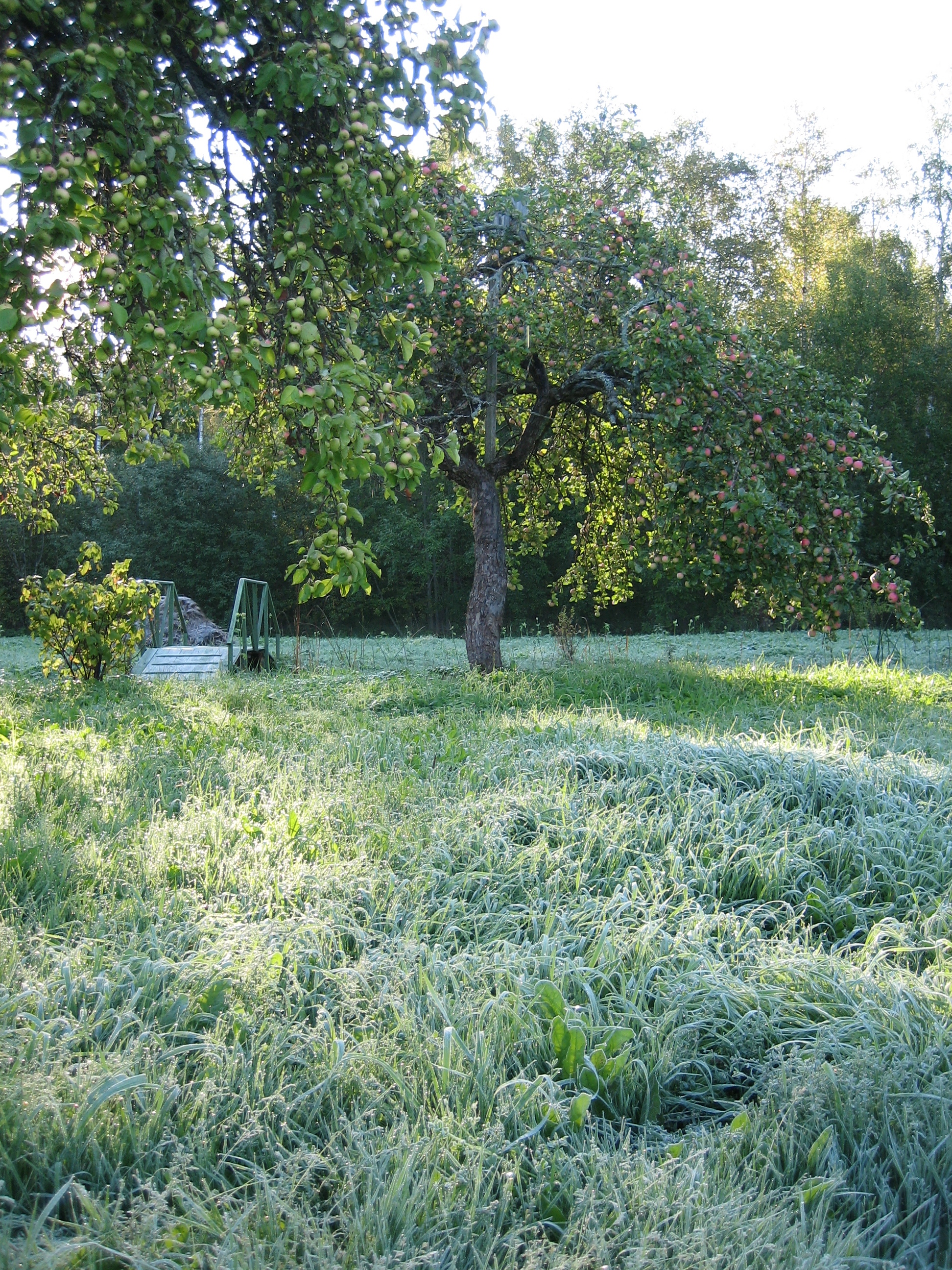 sept2006 002