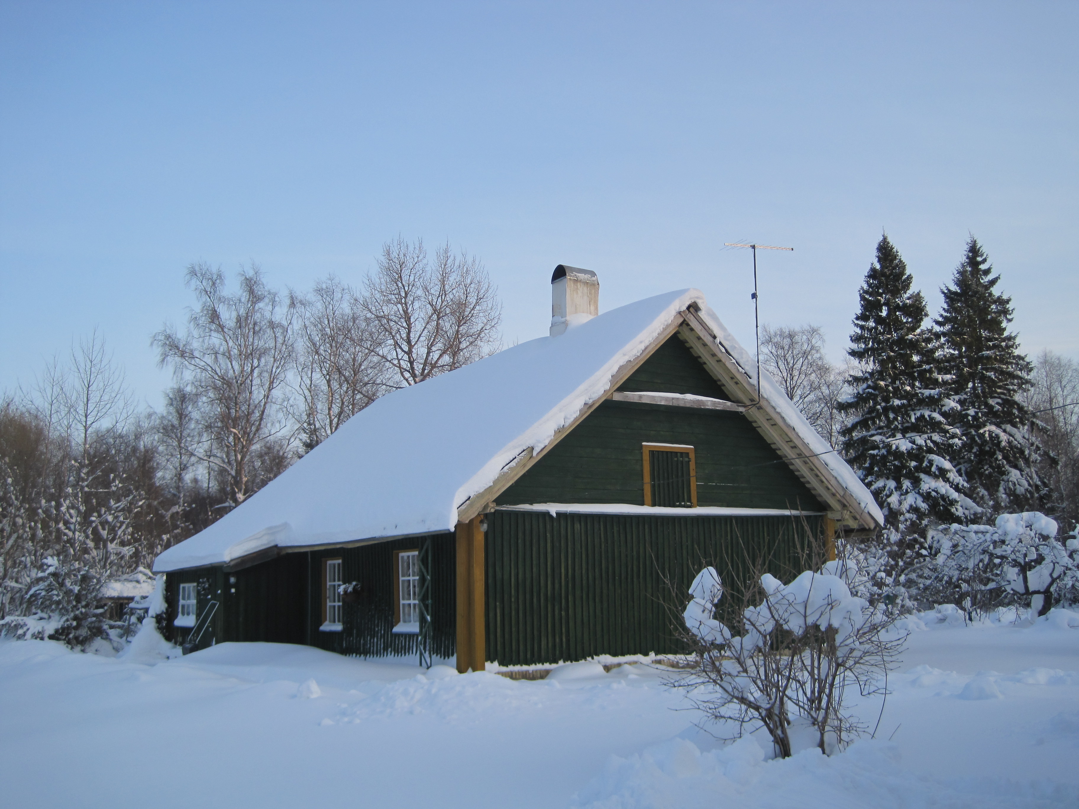 dets 2010 021