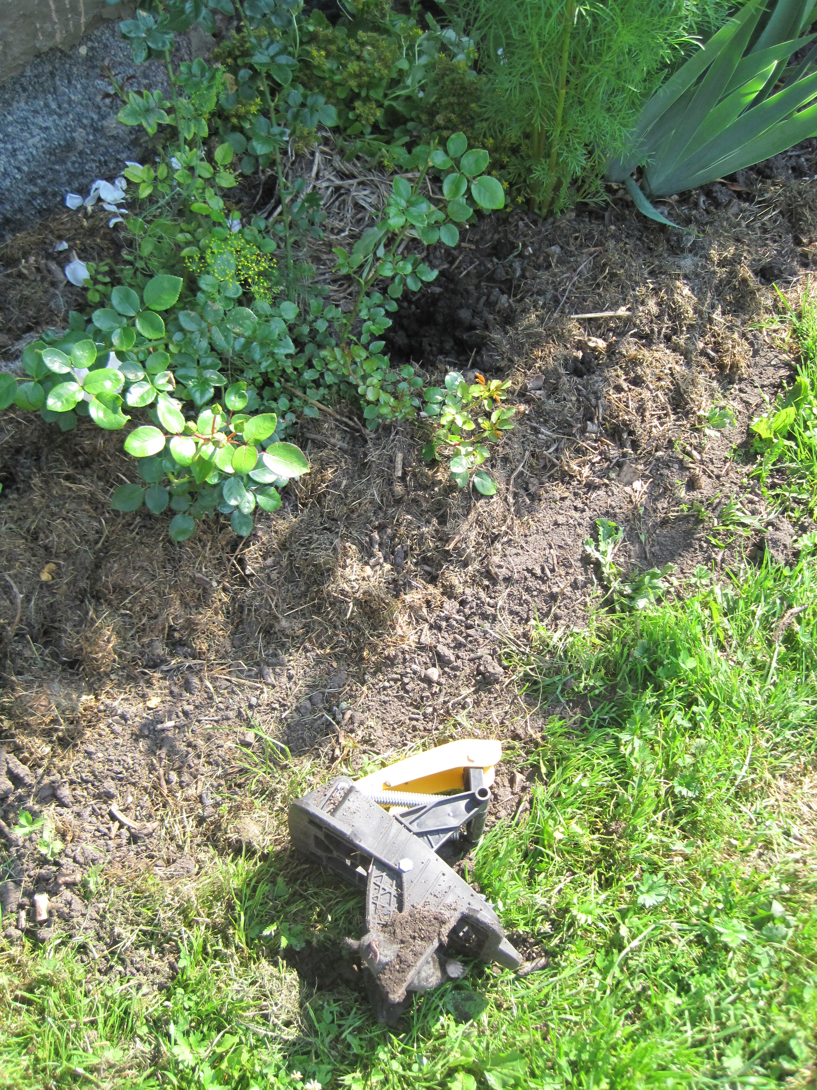juuli 2011 mutijaht