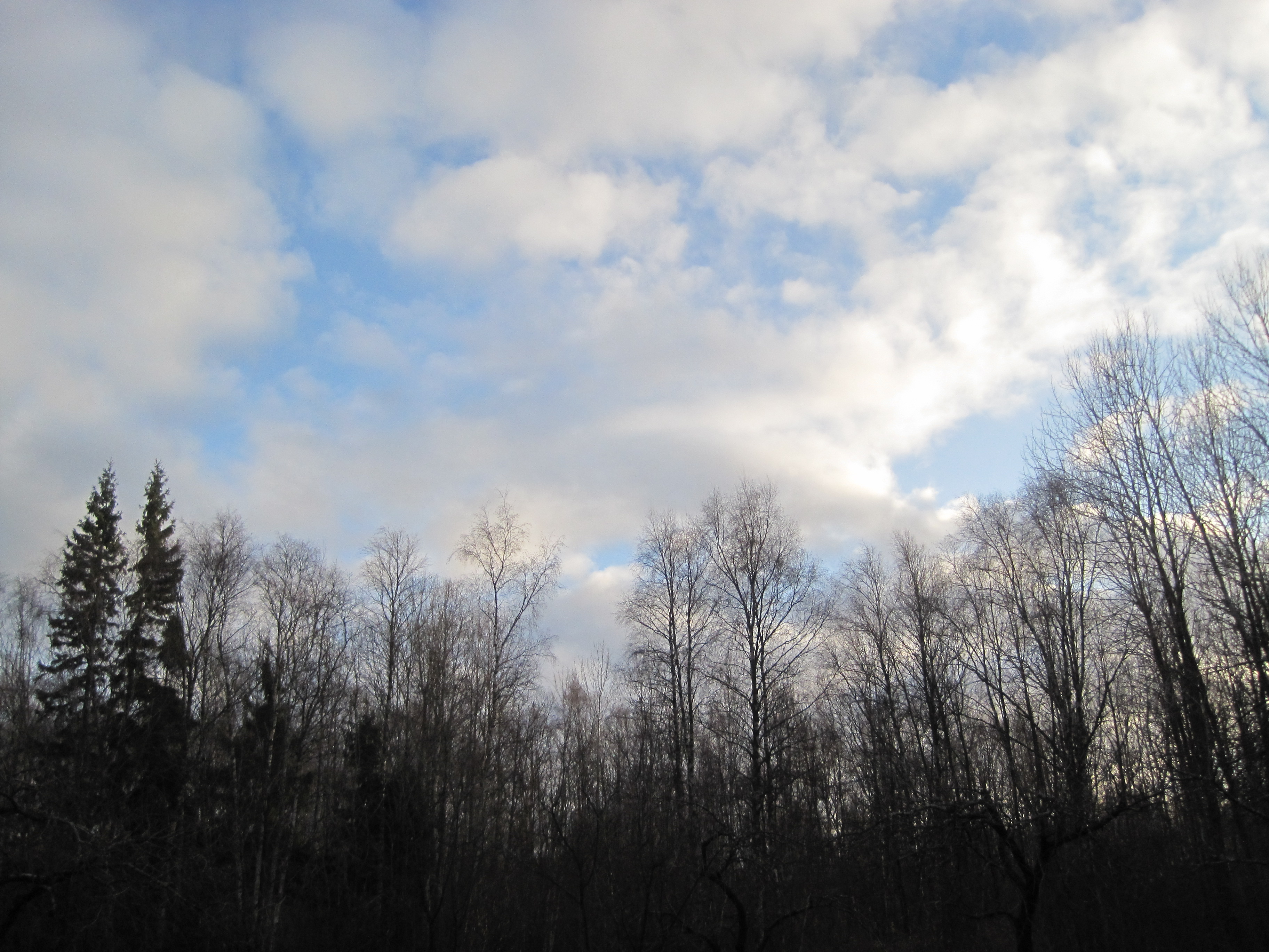 Novembritaevas