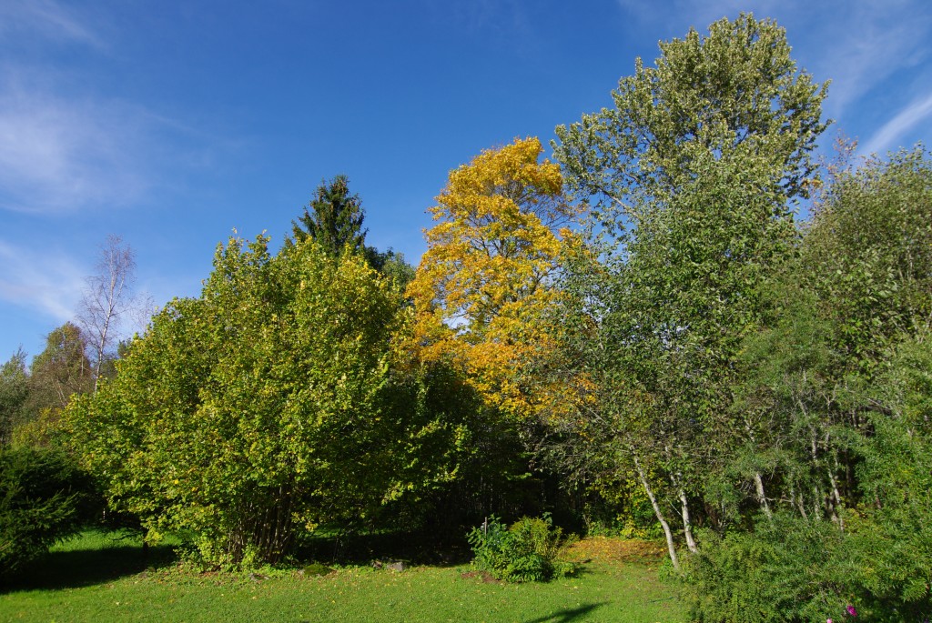Vaade 300912