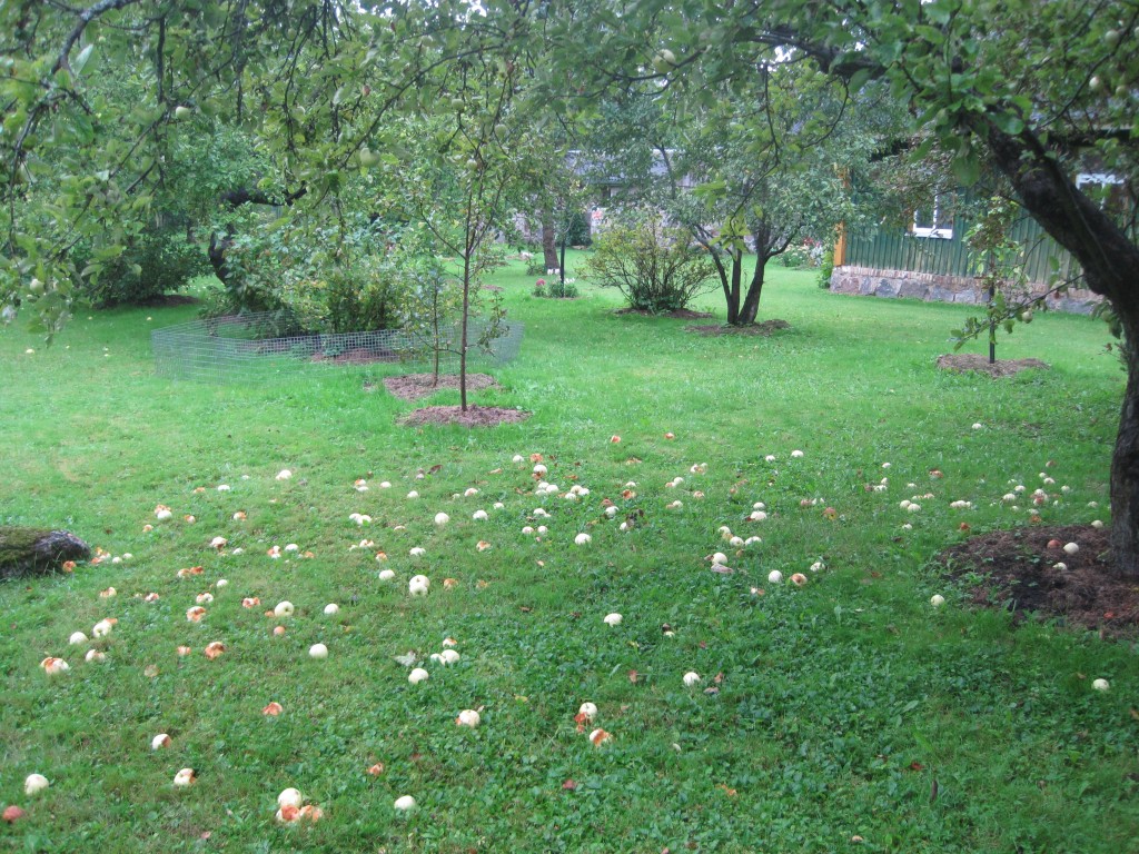 1. september 2012