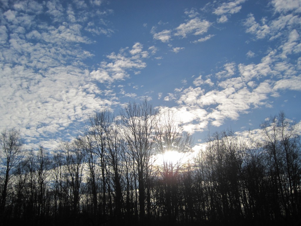 Novembritaevas
