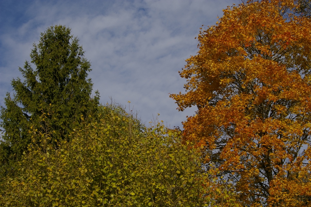 6. oktoober 2013