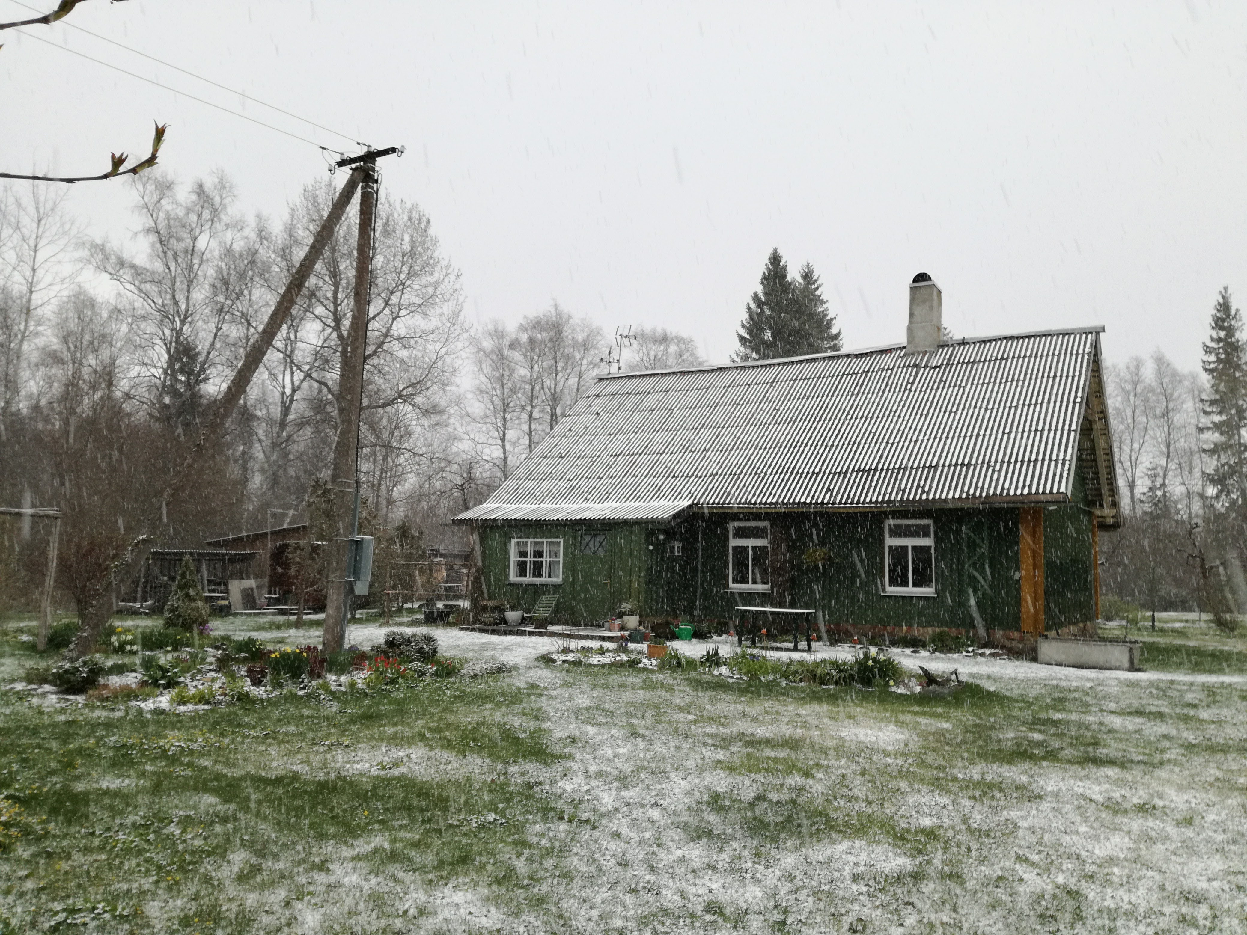 9. mai 2017