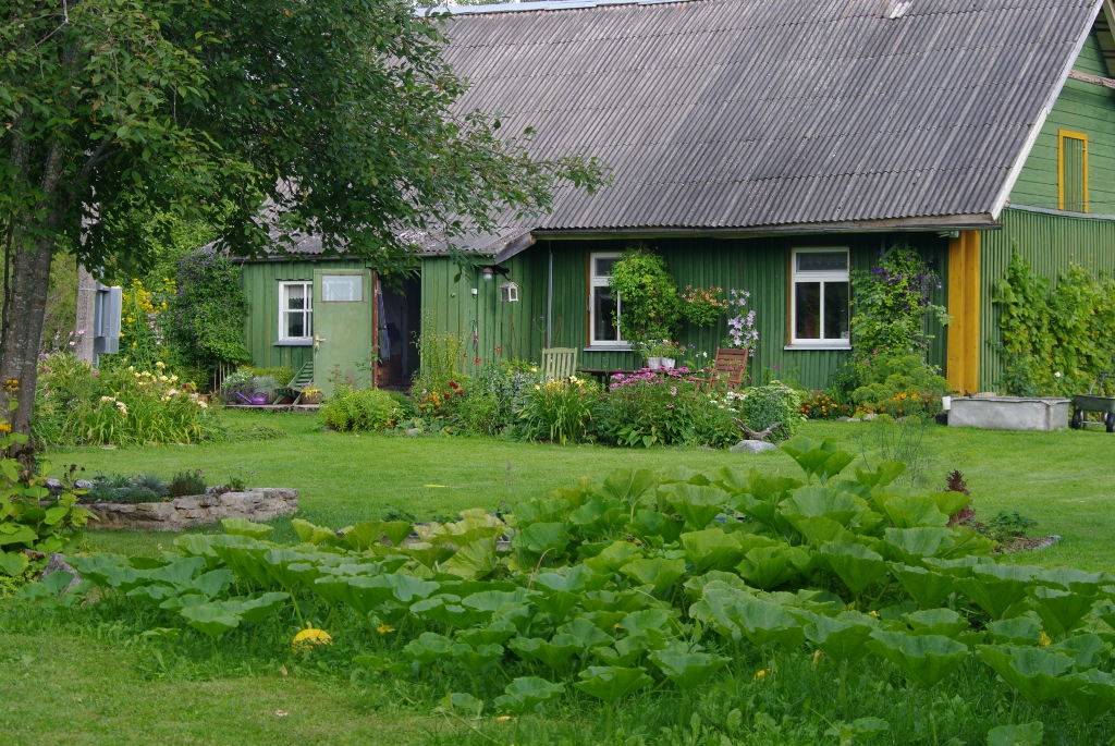Vaade kõrvicaga