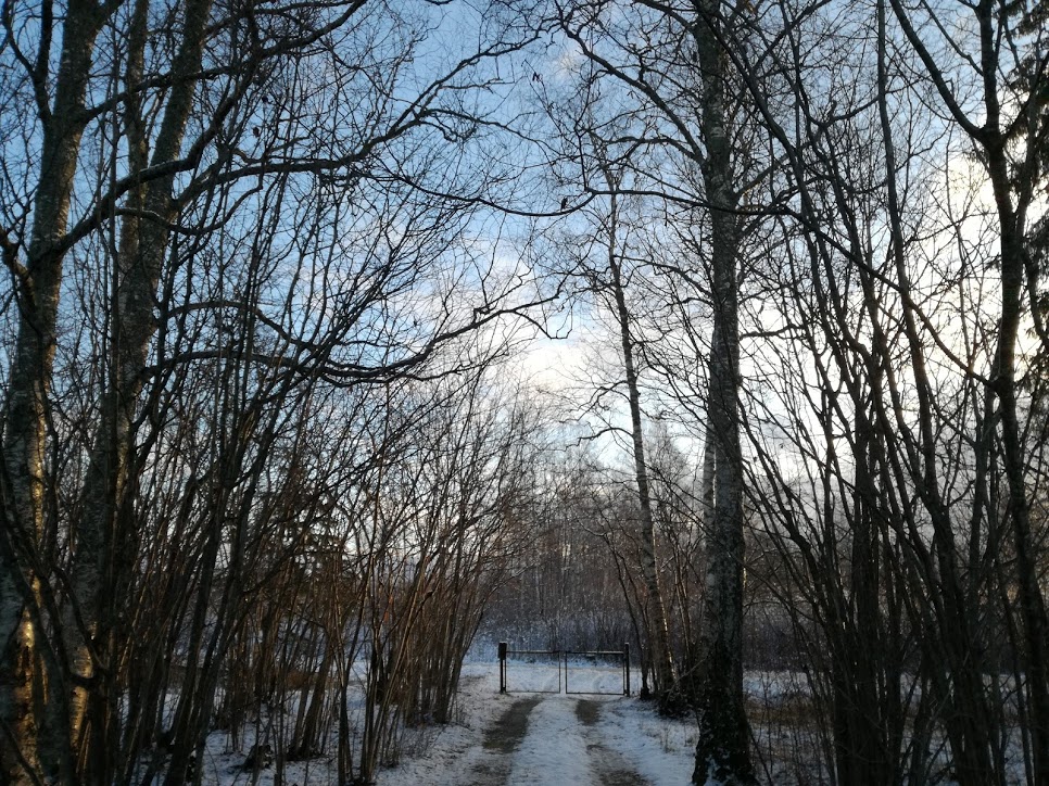 Värav