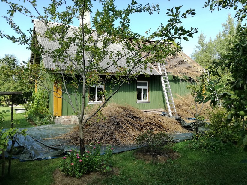 Katus 16.august 2018