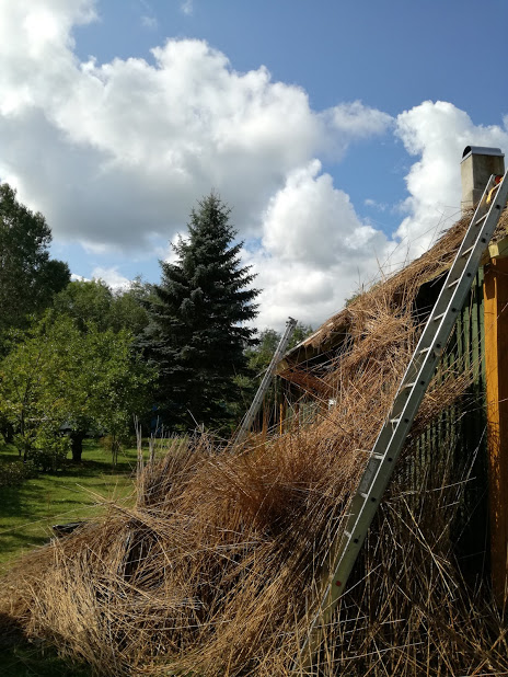 Katus 2 16.august 2018