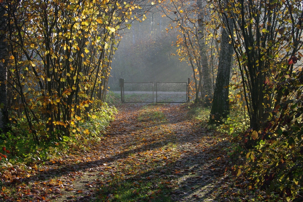 Värav