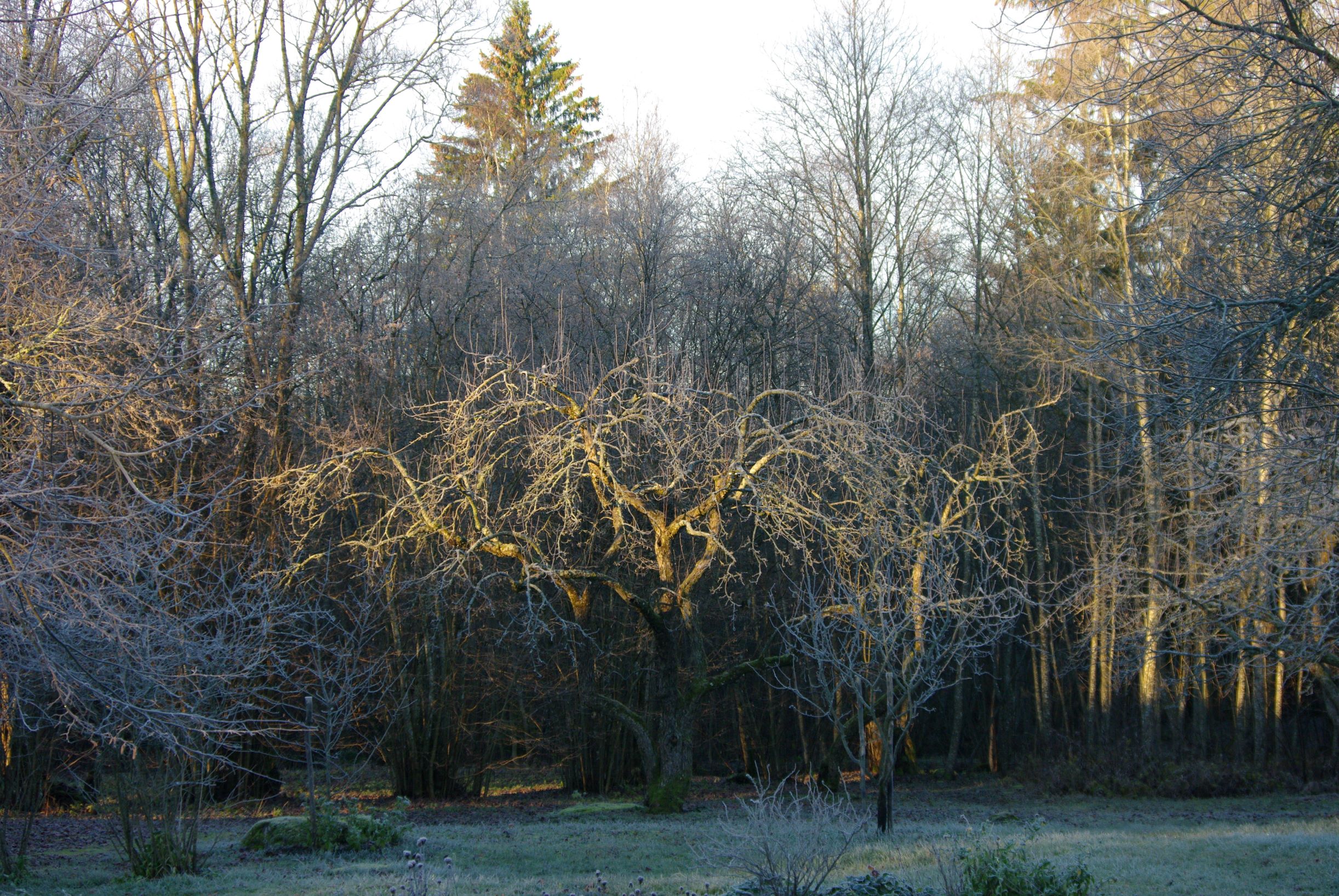 November