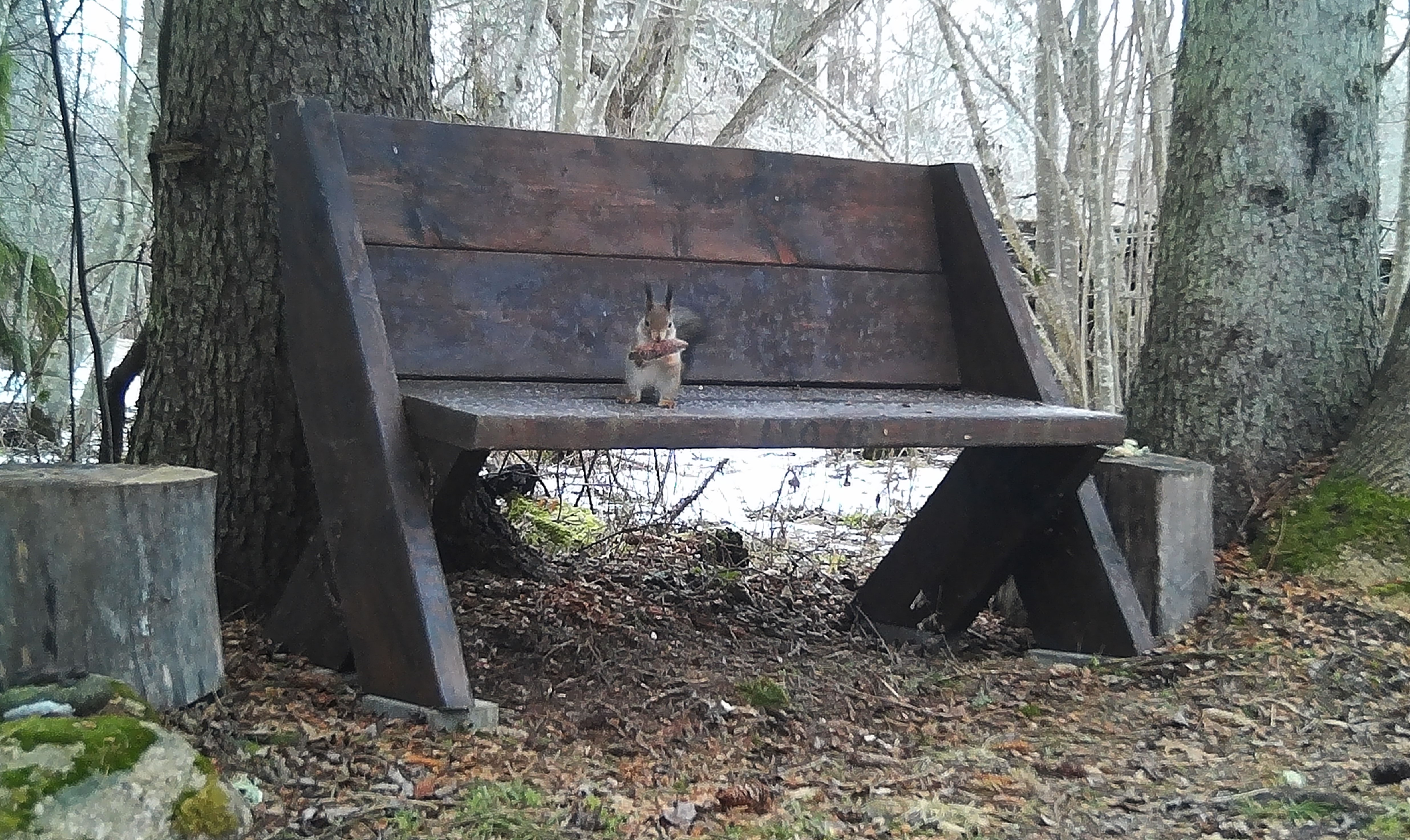 Head isu 190224