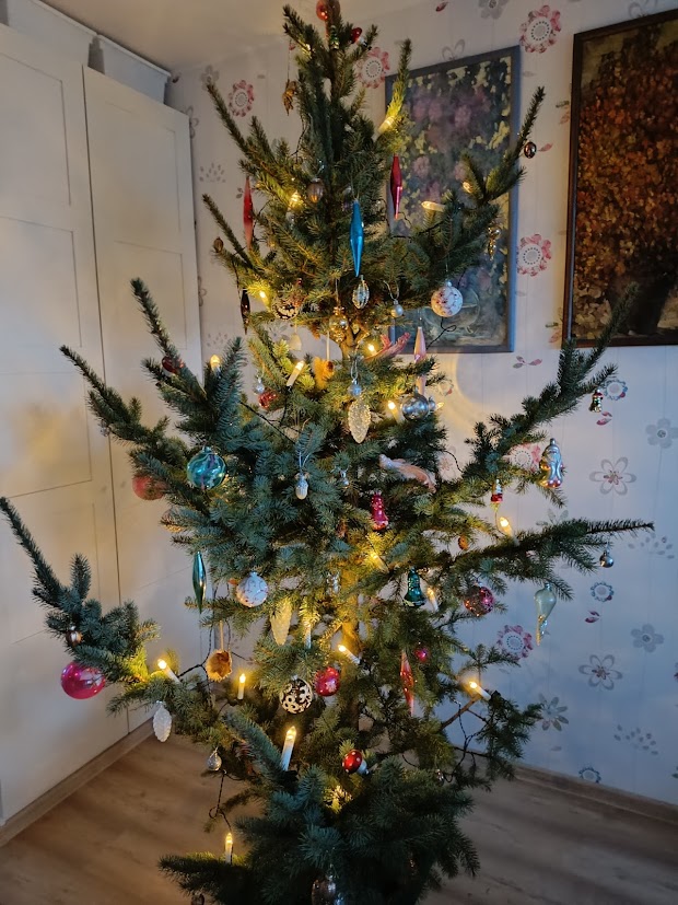 20241224_kuusk